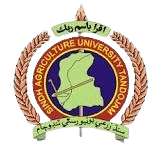Sindh